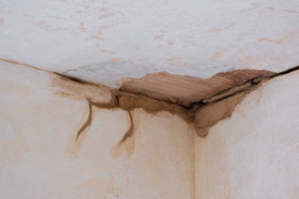 Best Water damage contractors near me  in St Paul, MN