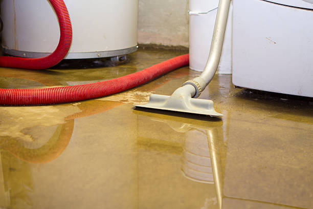 Best Ceiling water damage repair  in St Paul, MN