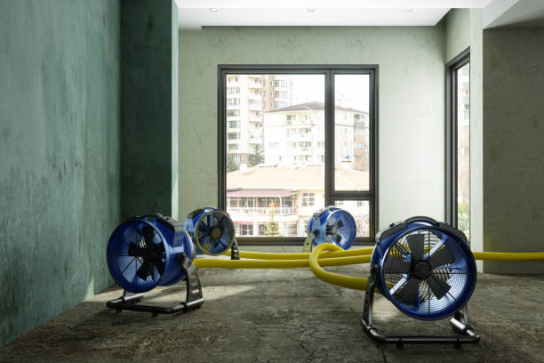 Best Residential water damage restoration  in St Paul, MN